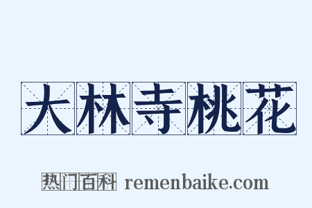 大林寺桃花是什么意思的图片